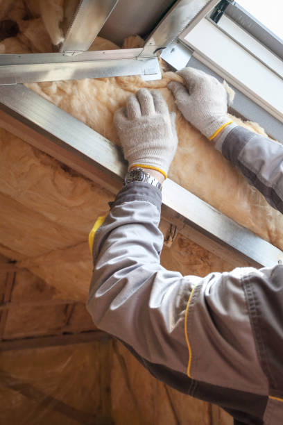 Types of Insulation We Offer in Lopezville, TX